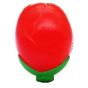 FR-034