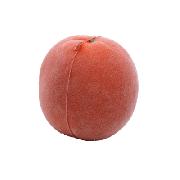 PU flocking orange